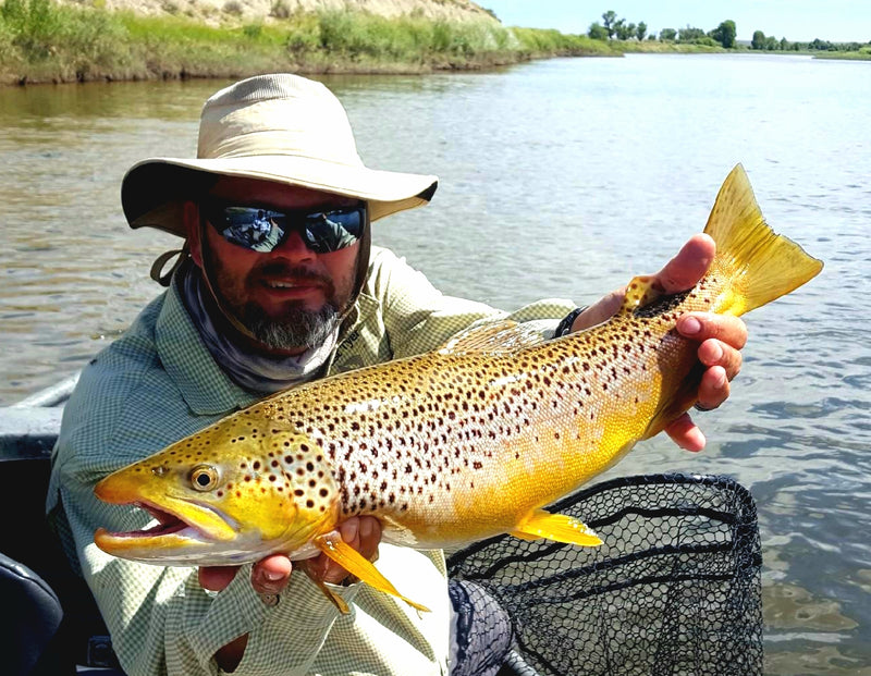 The 1-2 punch for Steamer Fishing Trout By: Daniel Parson